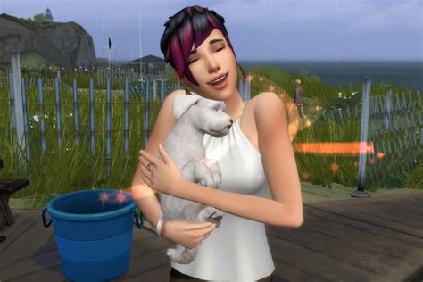 sims 4 adopt stray